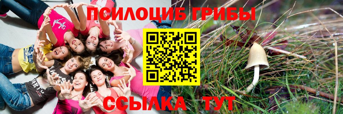 Галлюциногенные грибы MAGIC MUSHROOMS Орёл